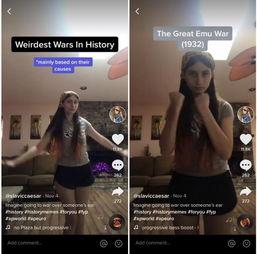 成拍在线视频观看,精彩瞬间一网打尽