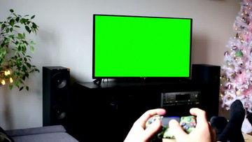 国外绿奴在线视频